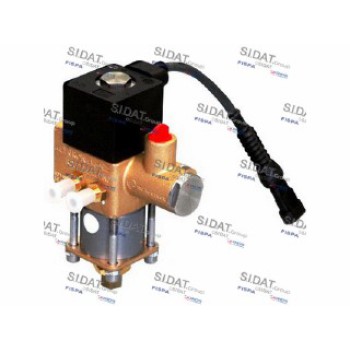 REGOLATORE DI PRESSIONE GAS