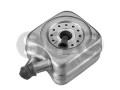 Scambiatore Vw A3-A4-Caddy + Guar.