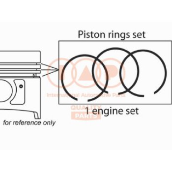 SERIE SEGMENTI MOTORE STD