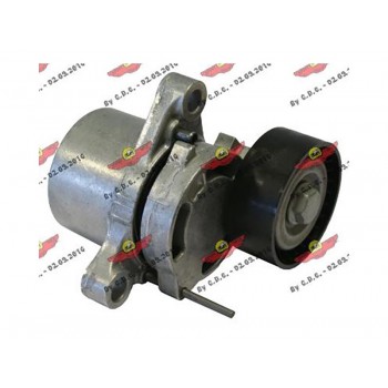 Tendicinghia accessori