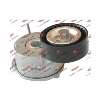 Tendicinghia accessori