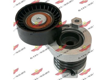 Tendicinghia accessori