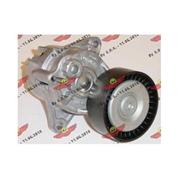 Tendicinghia accessori