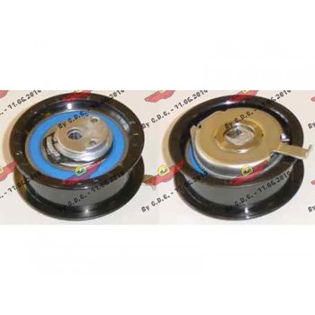 TENDICINGHIA DISTRIBUZIONE