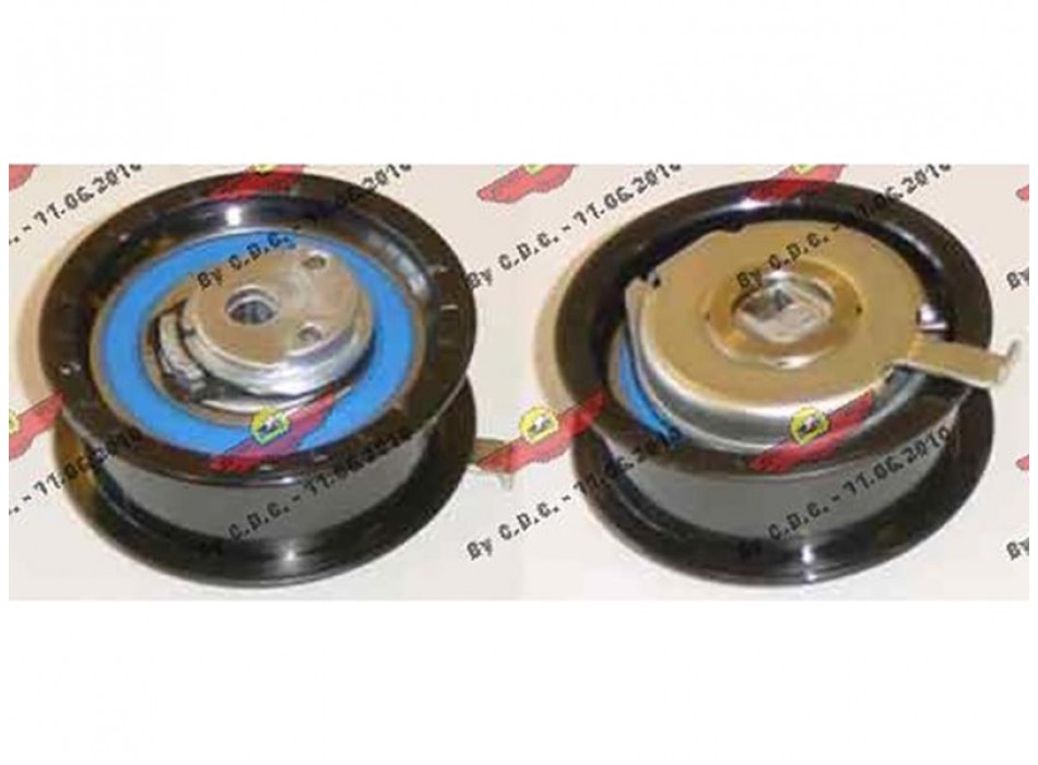 TENDICINGHIA DISTRIBUZIONE