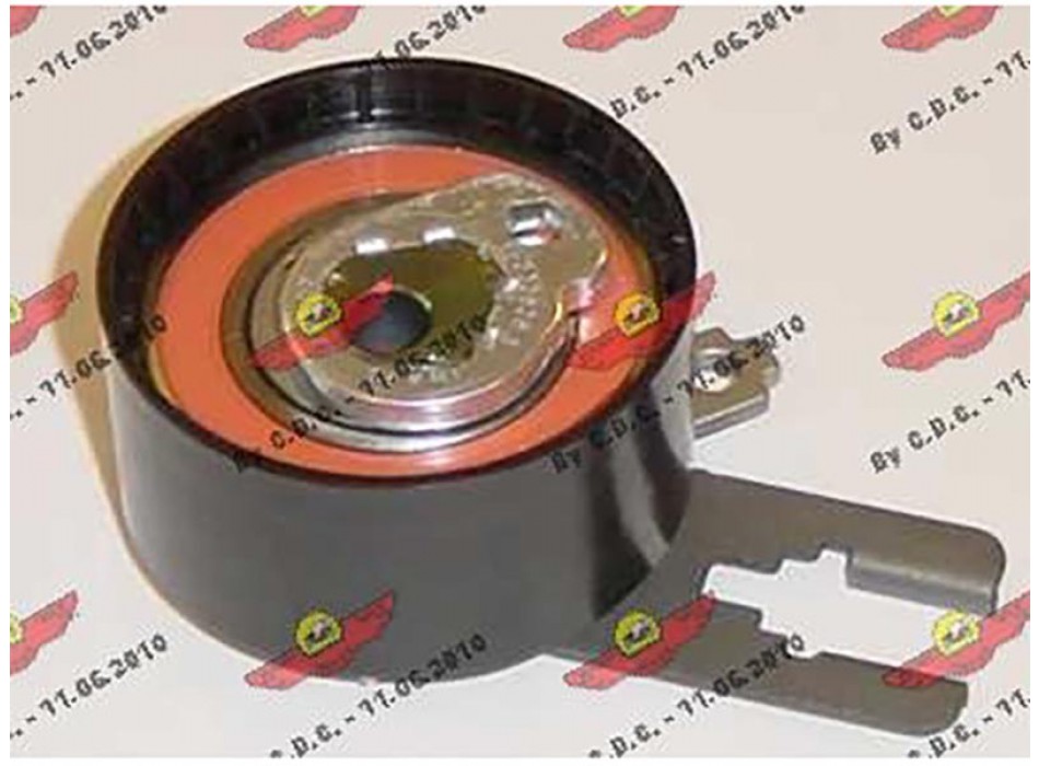 TENDICINGHIA DISTRIBUZIONE