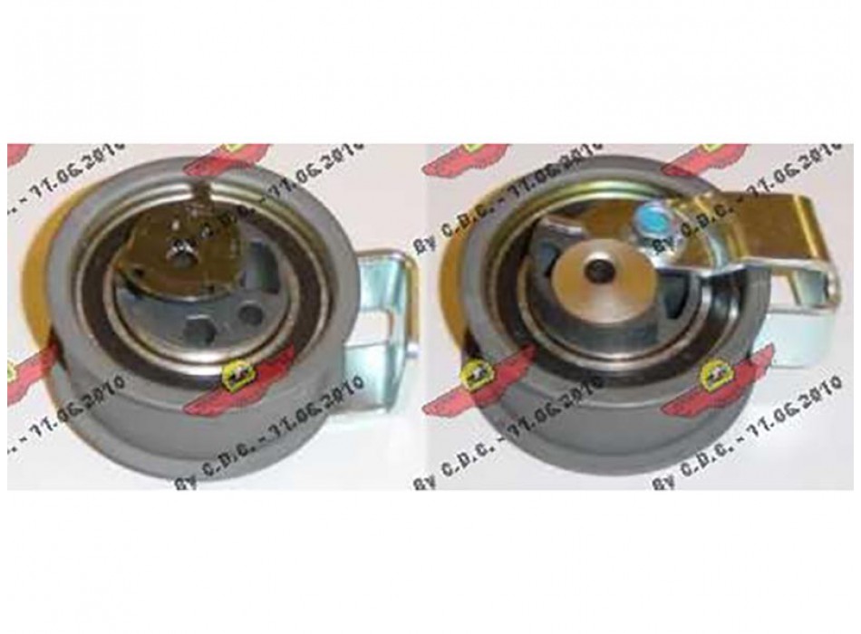 TENDICINGHIA DISTRIBUZIONE