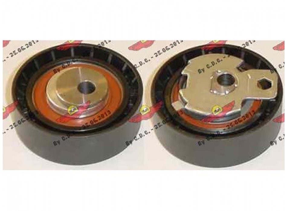 TENDICINGHIA DISTRIBUZIONE