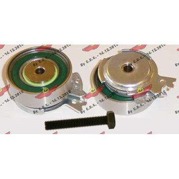 TENDICINGHIA DISTRIBUZIONE