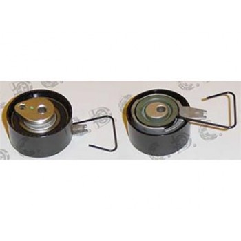 TENDICINGHIA DISTRIBUZIONE