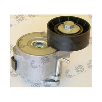 TENDICINGHIA ORGANI AUSILIARI