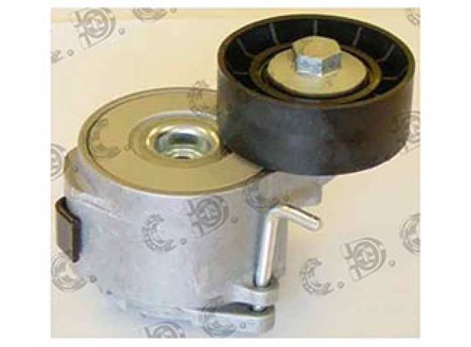 TENDICINGHIA ORGANI AUSILIARI