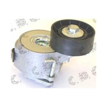 TENDICINGHIA ORGANI AUSILIARI