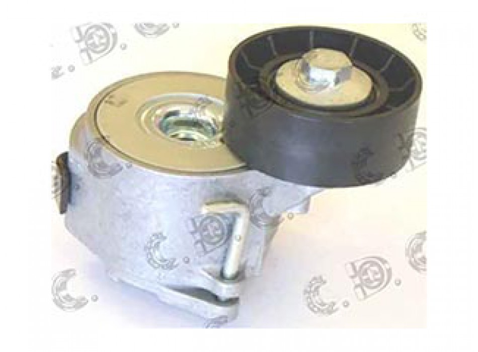 TENDICINGHIA ORGANI AUSILIARI