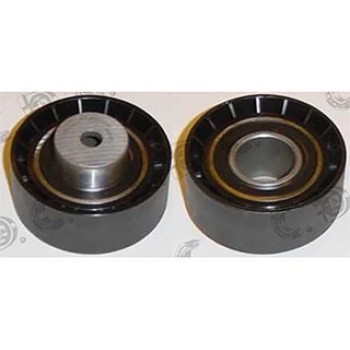 TENDICINGHIA ORGANI AUSILIARI