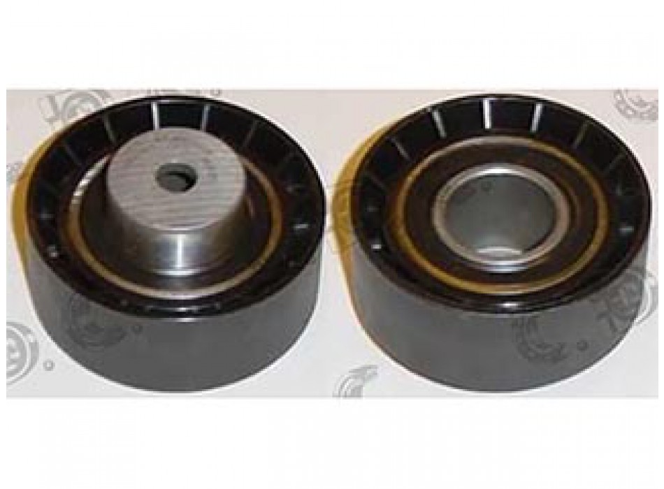 TENDICINGHIA ORGANI AUSILIARI