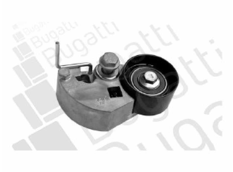TENDITORI DISTRIBUZIONE