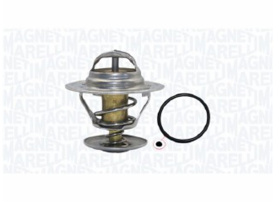 TERMOSTATO SEAT IBIZA II (6K1) 1.9 SDI