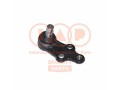 TESTINA BRACCIO SOSP.ANT.INF.DX/SX