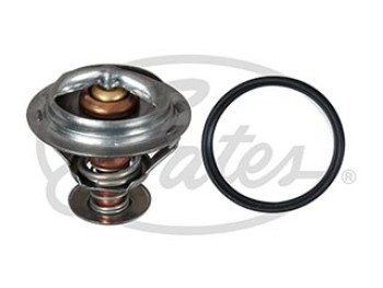 Thermostat, coolant