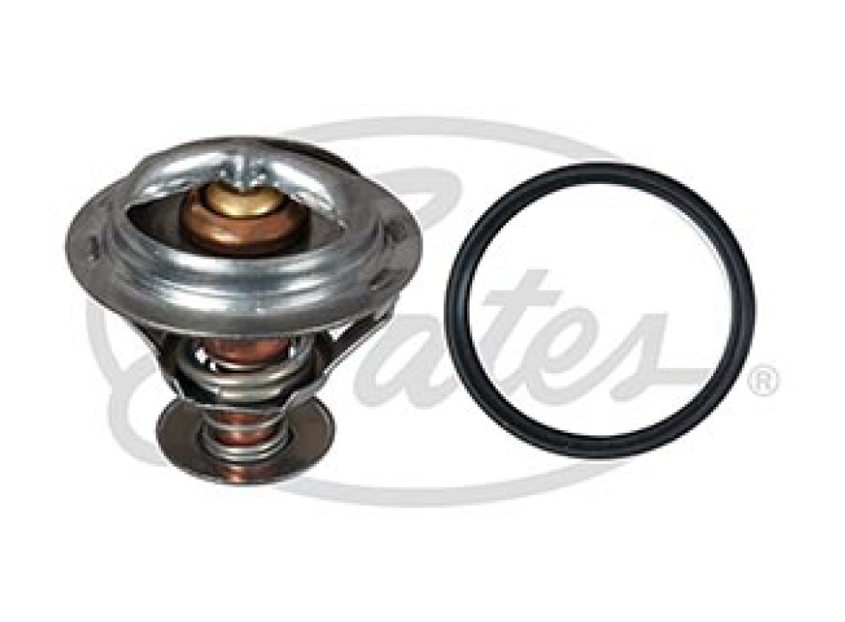 Thermostat, coolant