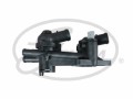Thermostat, coolant