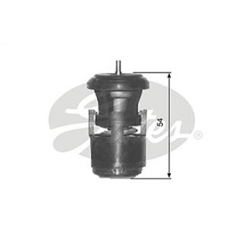 Thermostat, coolant