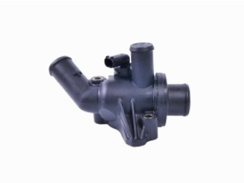 Thermostat, coolant