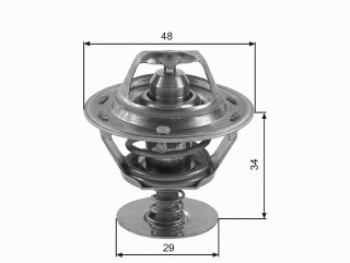 Thermostat, coolant