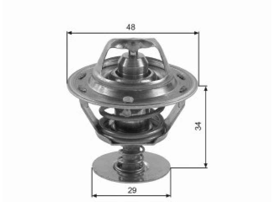 Thermostat, coolant