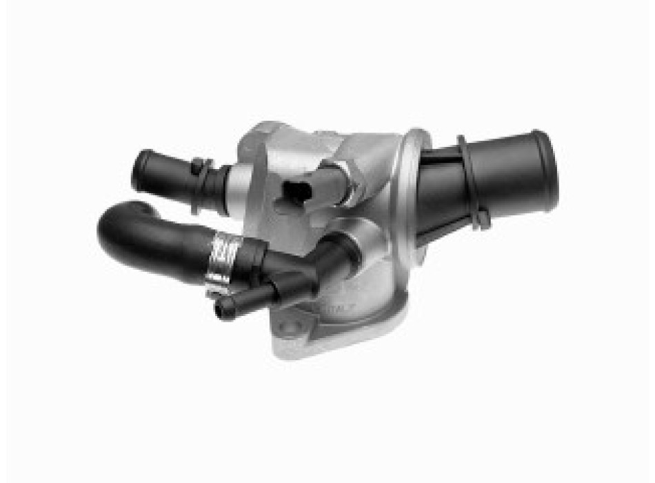 Thermostat, coolant