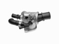 Thermostat, coolant