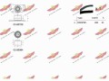 Timing Belt Kit
