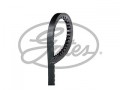 V BELT