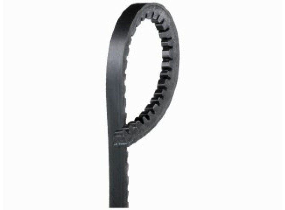 V BELT