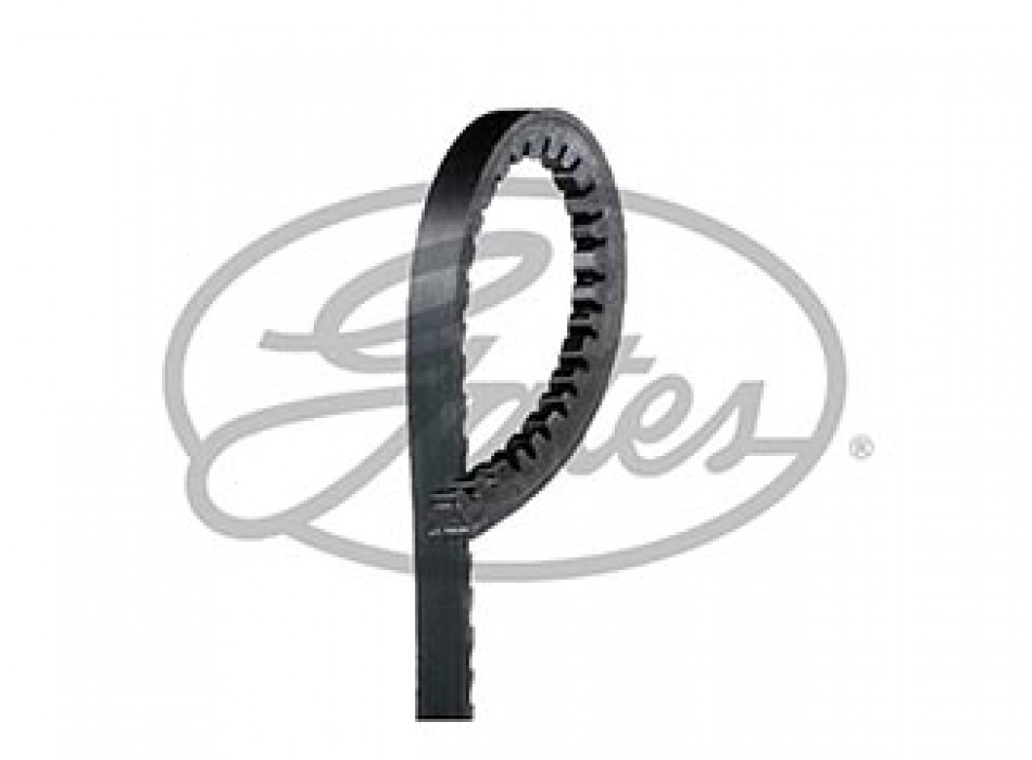 V BELT