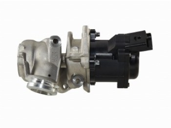 Valvola ricircolo gas scarico-EGR