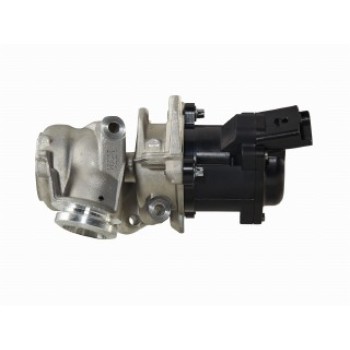 Valvola ricircolo gas scarico-EGR