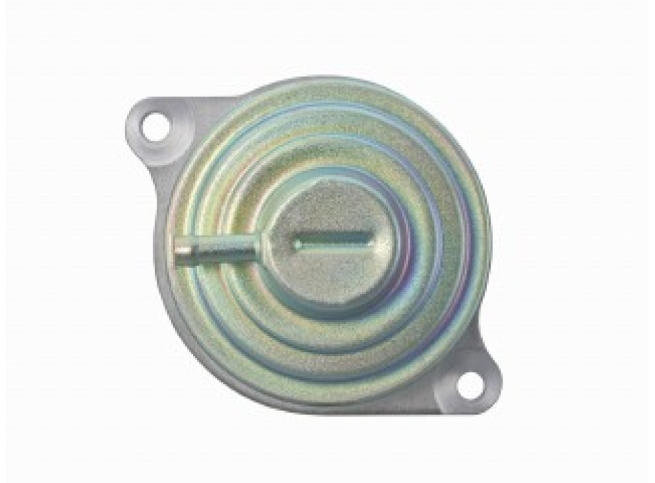 Valvola ricircolo gas scarico-EGR