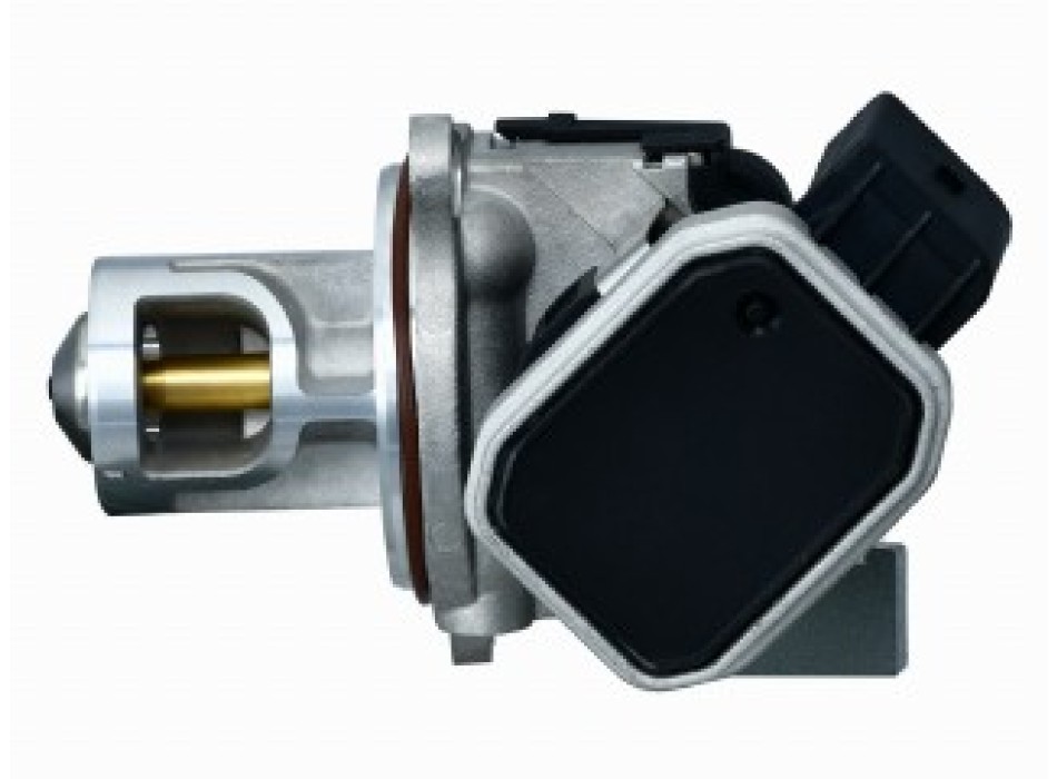 Valvola ricircolo gas scarico-EGR
