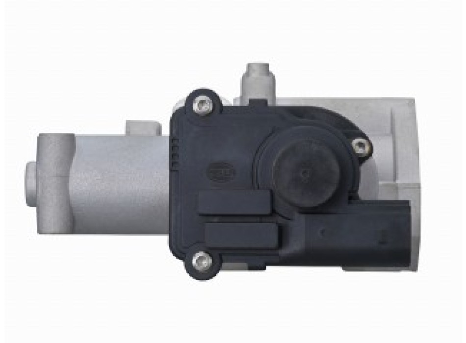 Valvola ricircolo gas scarico-EGR