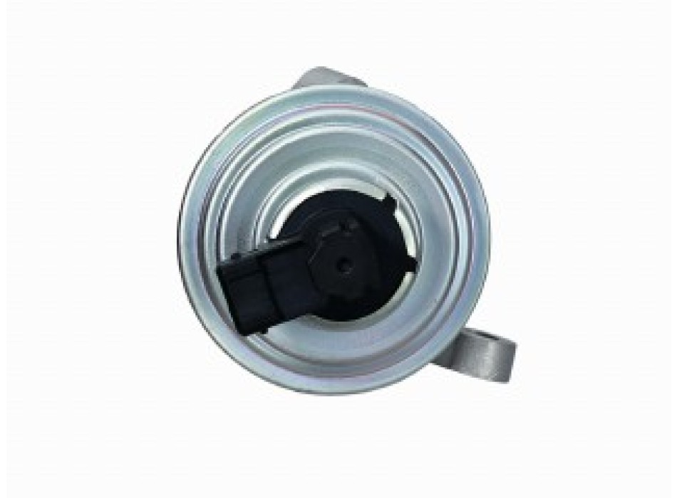 Valvola Ricircolo Gas Scarico-Egr