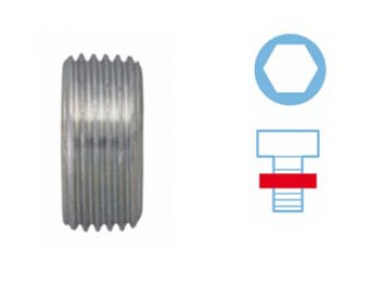 Vite di chiusura, vaschetta dell'olio