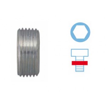 Vite di chiusura, vaschetta dell'olio